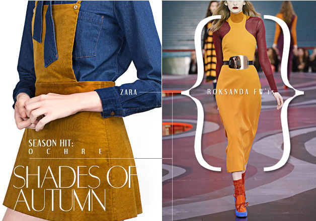 Wearable-Fashion-Trends-Fall-Winter-2015-Zara-Roksanda
