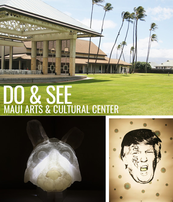 do-and-see-maui-arts-and-culture-center-hawaii-filler-magazine-2016-1a